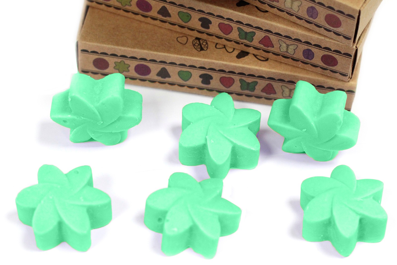 Aroma Box of 6 Wax Melts - Hidden Garden