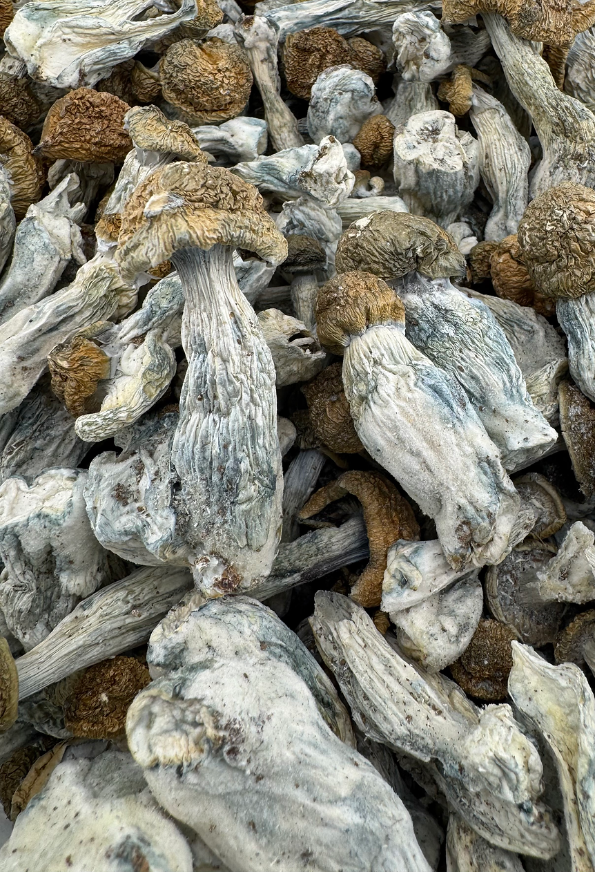 Arkansas Hillbillies