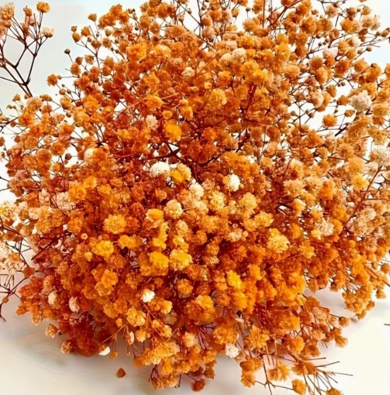 Mini vaso Perfumado em gesso - Boneca Fofa “Chiu”