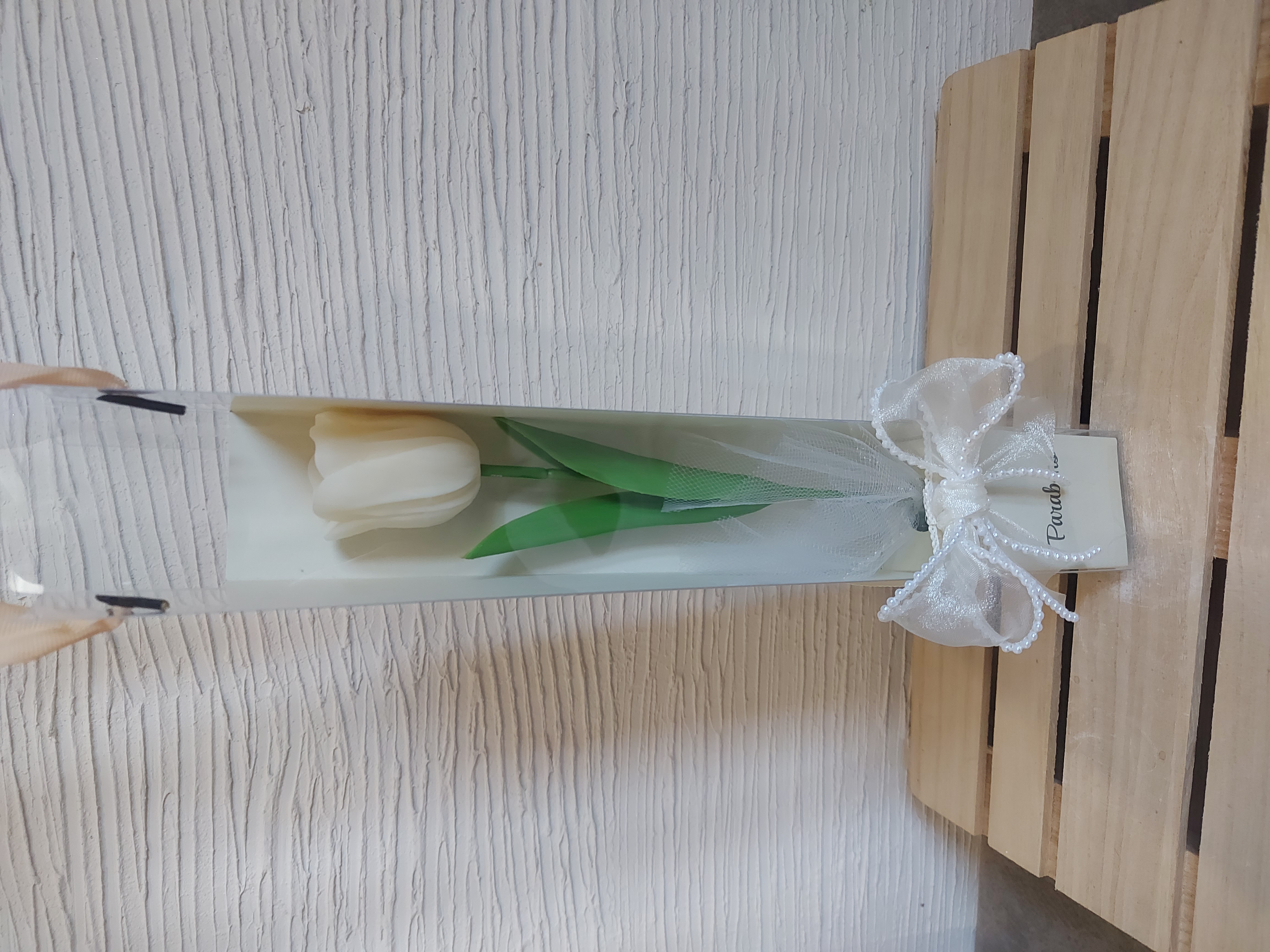 Tulipa em saco de alça