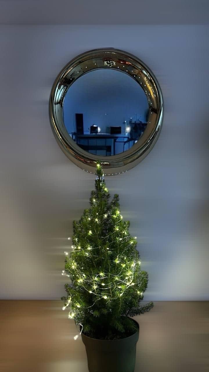 Cowling Mirror Cessna