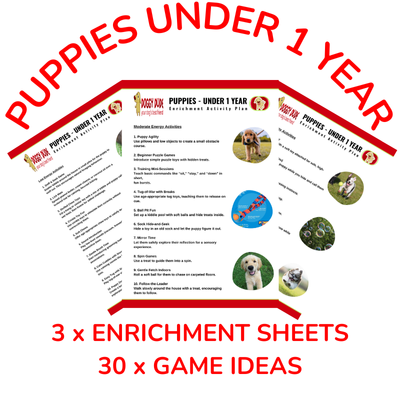 30 x Puppy Enrichment Ideas on 3 Training Sheets