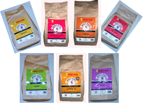Doggydude Adult Grain Free Complete Dog Food Sample Box 7 x 80g Tasty Testing Bags