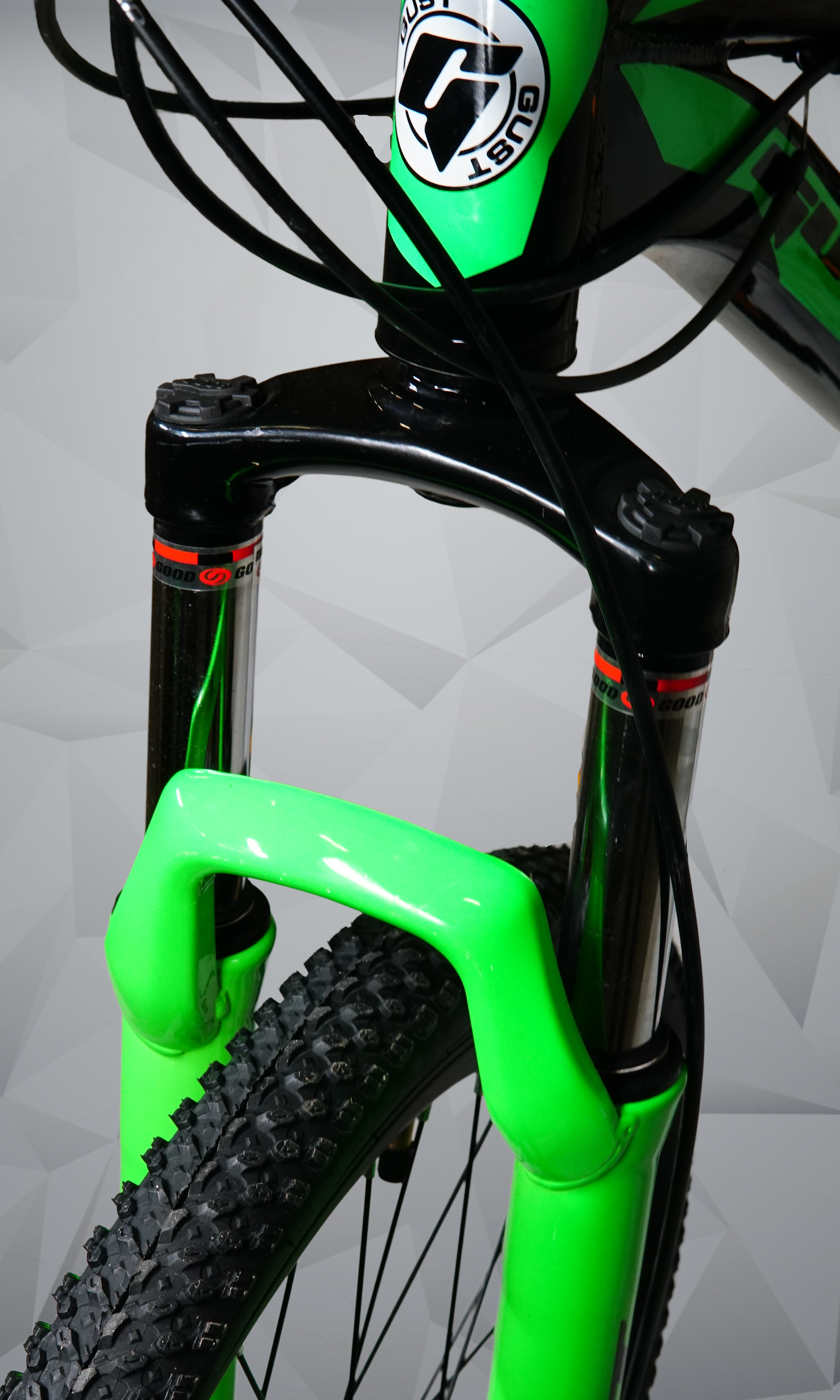 GUST 24-Inch Mountain Bike | Front Suspension, Disc Brakes, 21-Speed All-Terrain