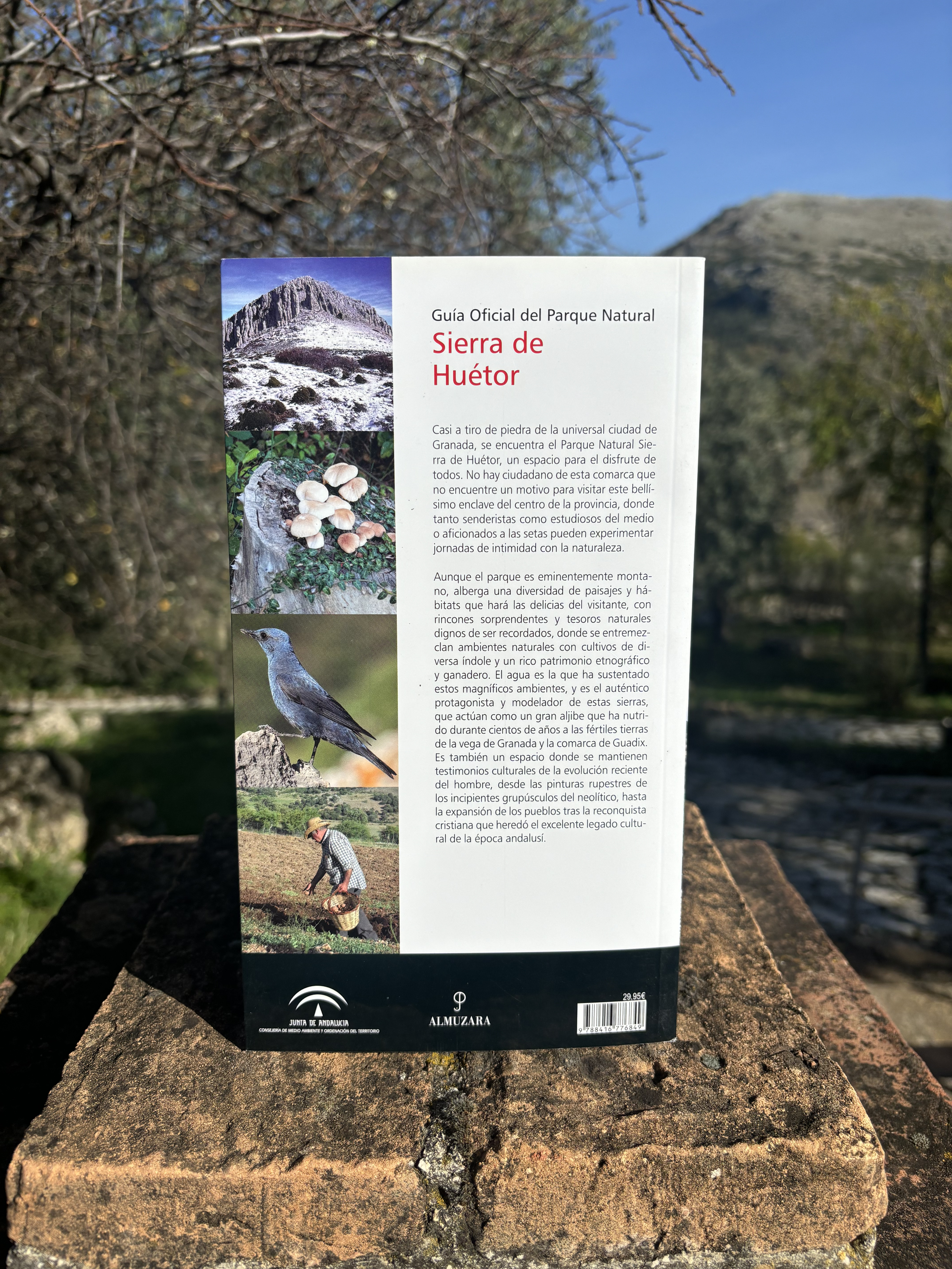 Guía Oficial del Parque Natural Sierra de Huétor