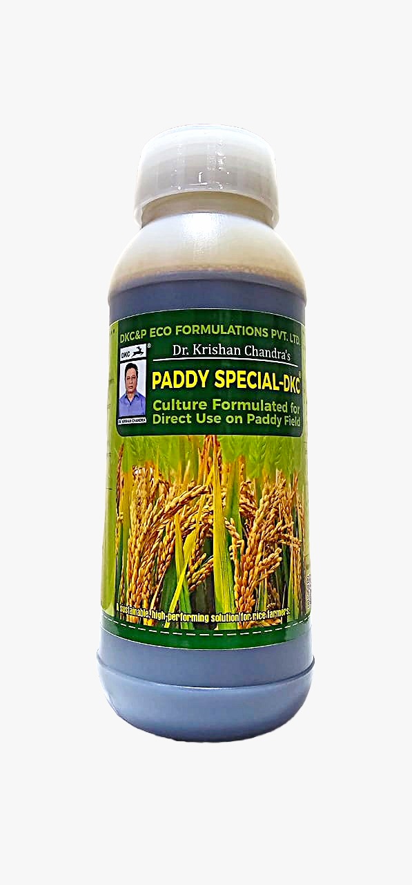PADDY SPECIAL-DKC पैडी स्पेशल–DKC