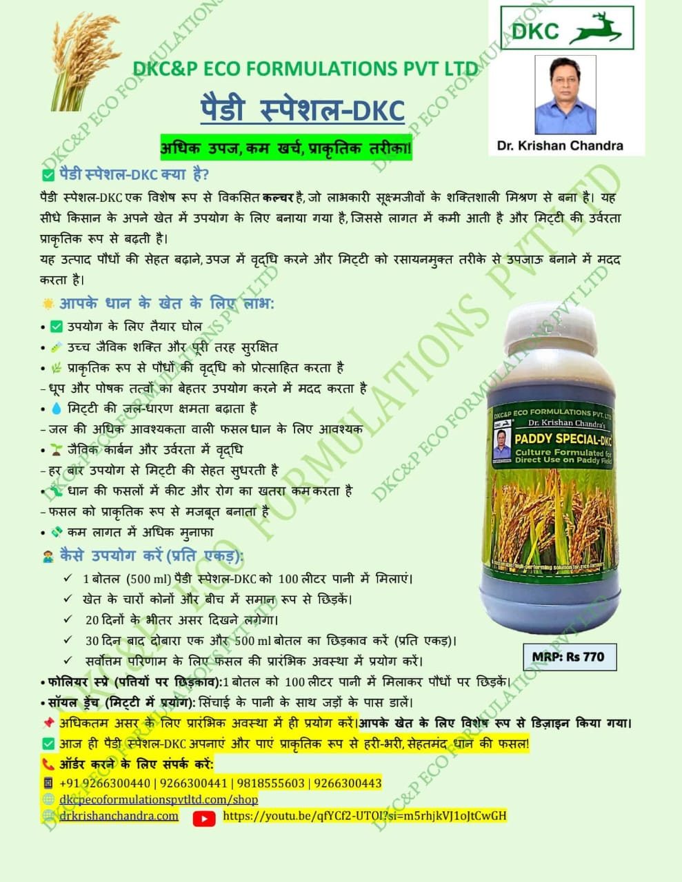 PADDY SPECIAL-DKC पैडी स्पेशल–DKC