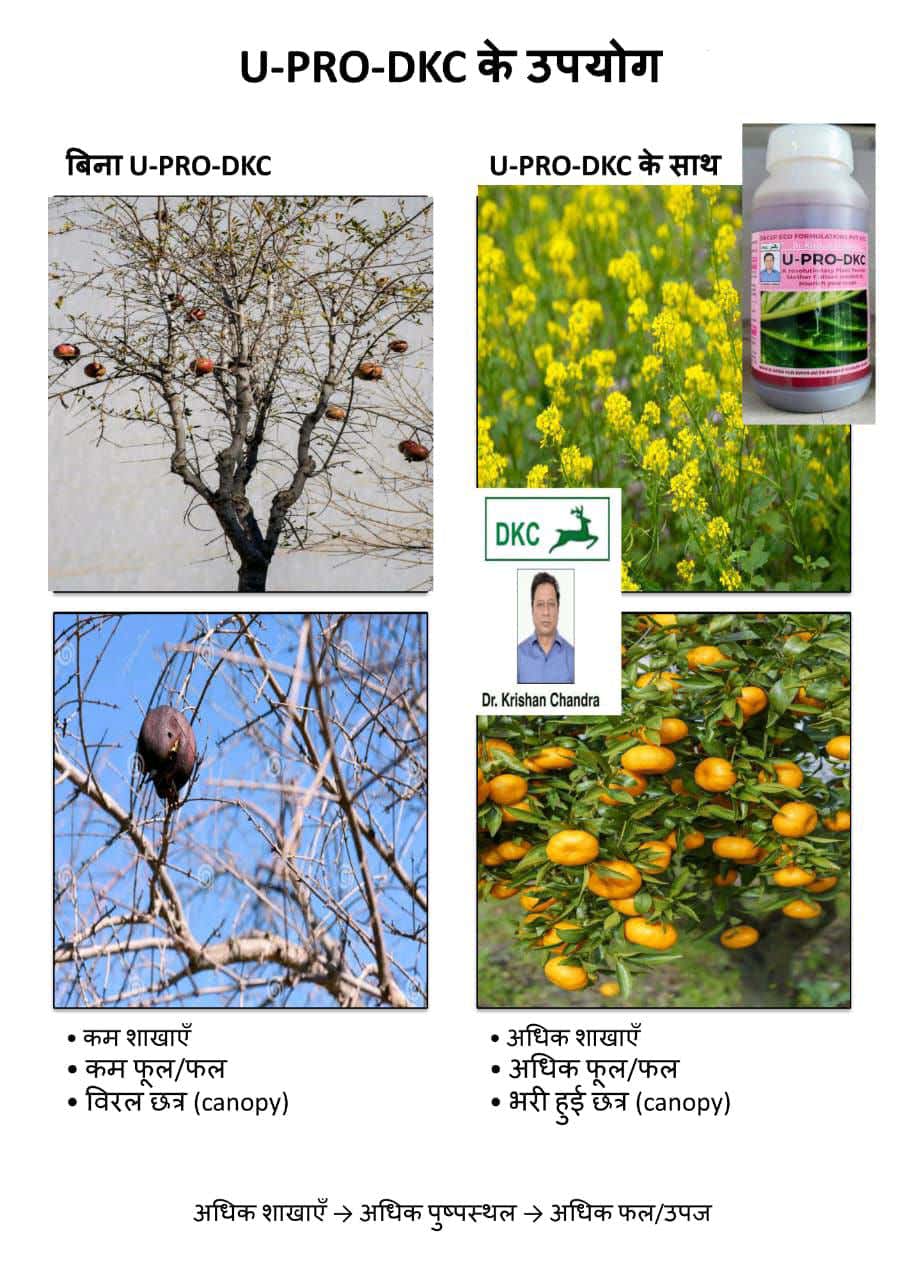 U-PRO-DKC Plant Protein Mother Culture DKC