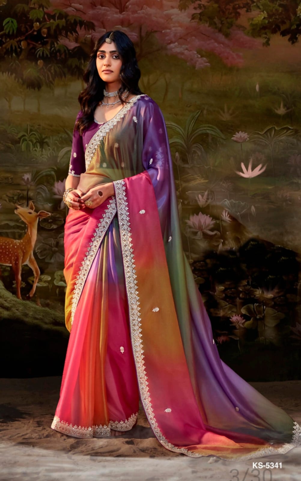 Colorful Traditional Saree