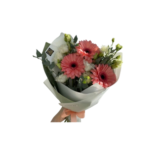 Gerbera Glam