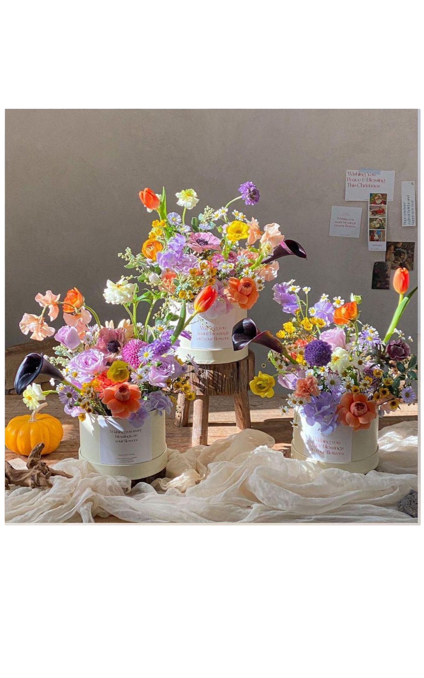 Colorful flower arrangements