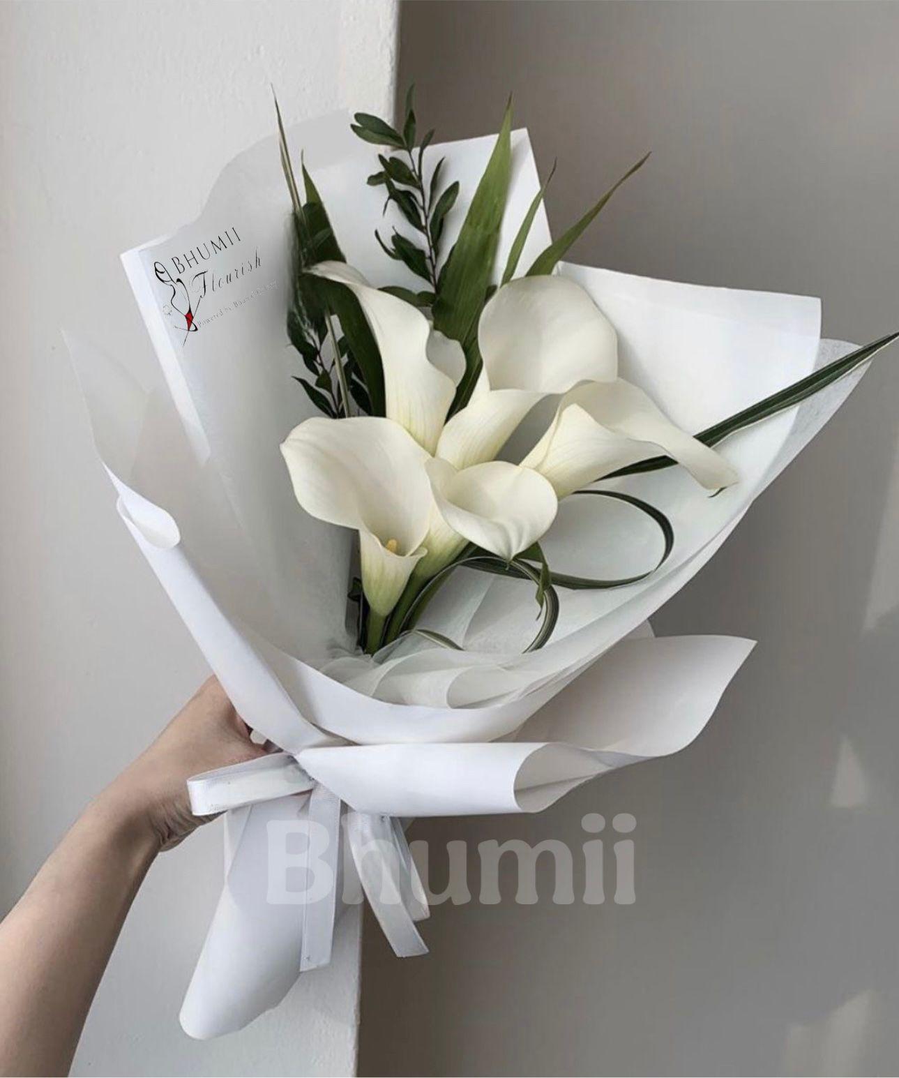 Medium Fresh 0062 (Custom)