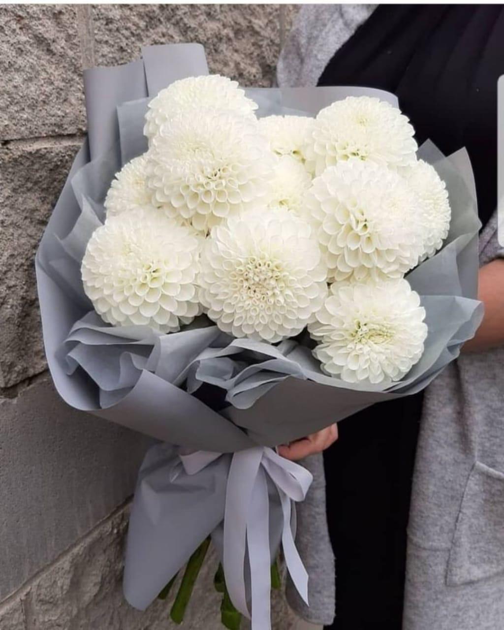 Extra Large 0039 (Import)