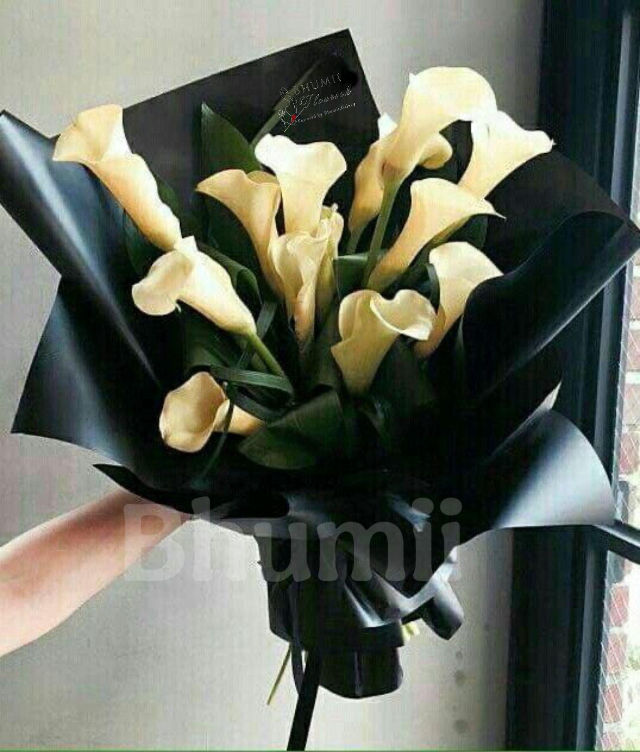 Large Fresh 0076 (Import)