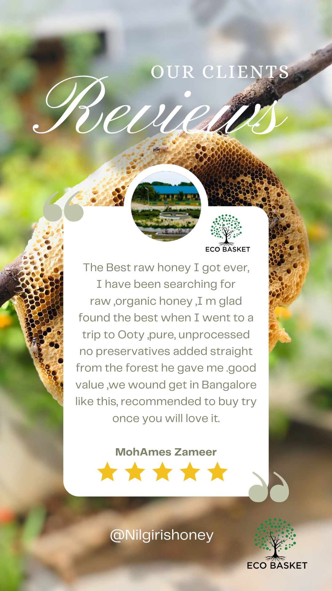 Stingless bee  Honey 100% Nilgiris - Helps men and women with infertility problems.