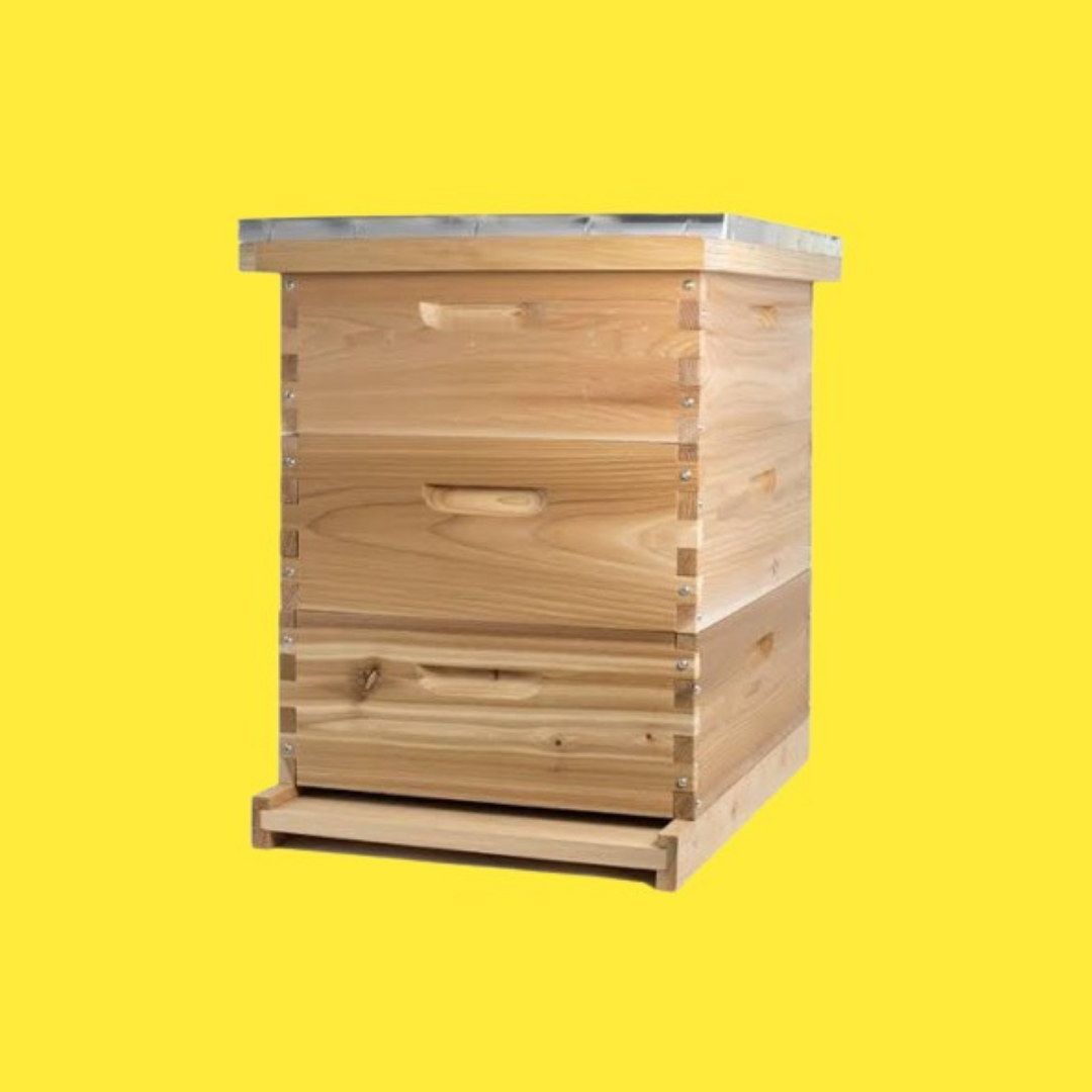 Honey Bee Hive Mahogany's wood for indian Honey 5 years long lost