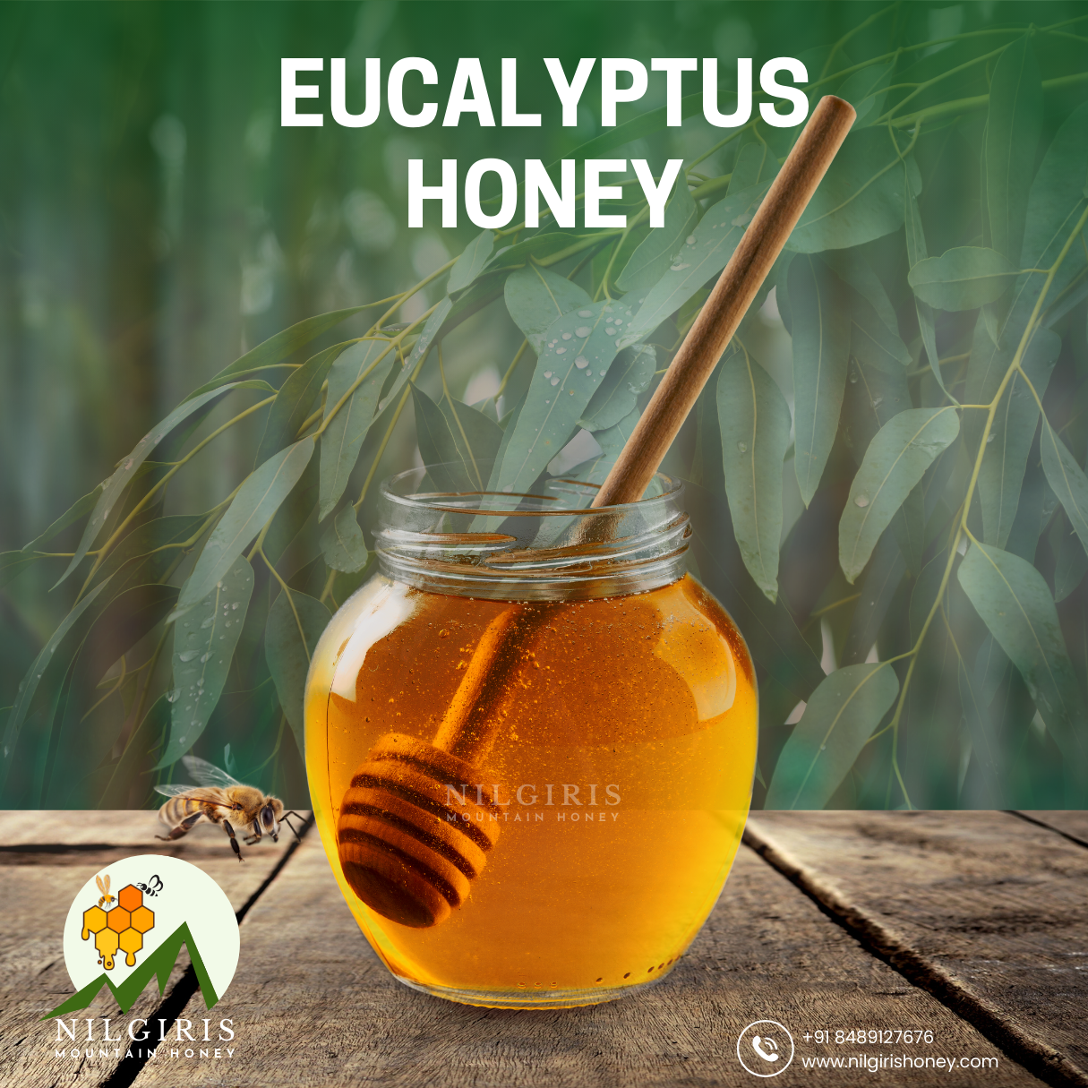Eucalyptus Honey