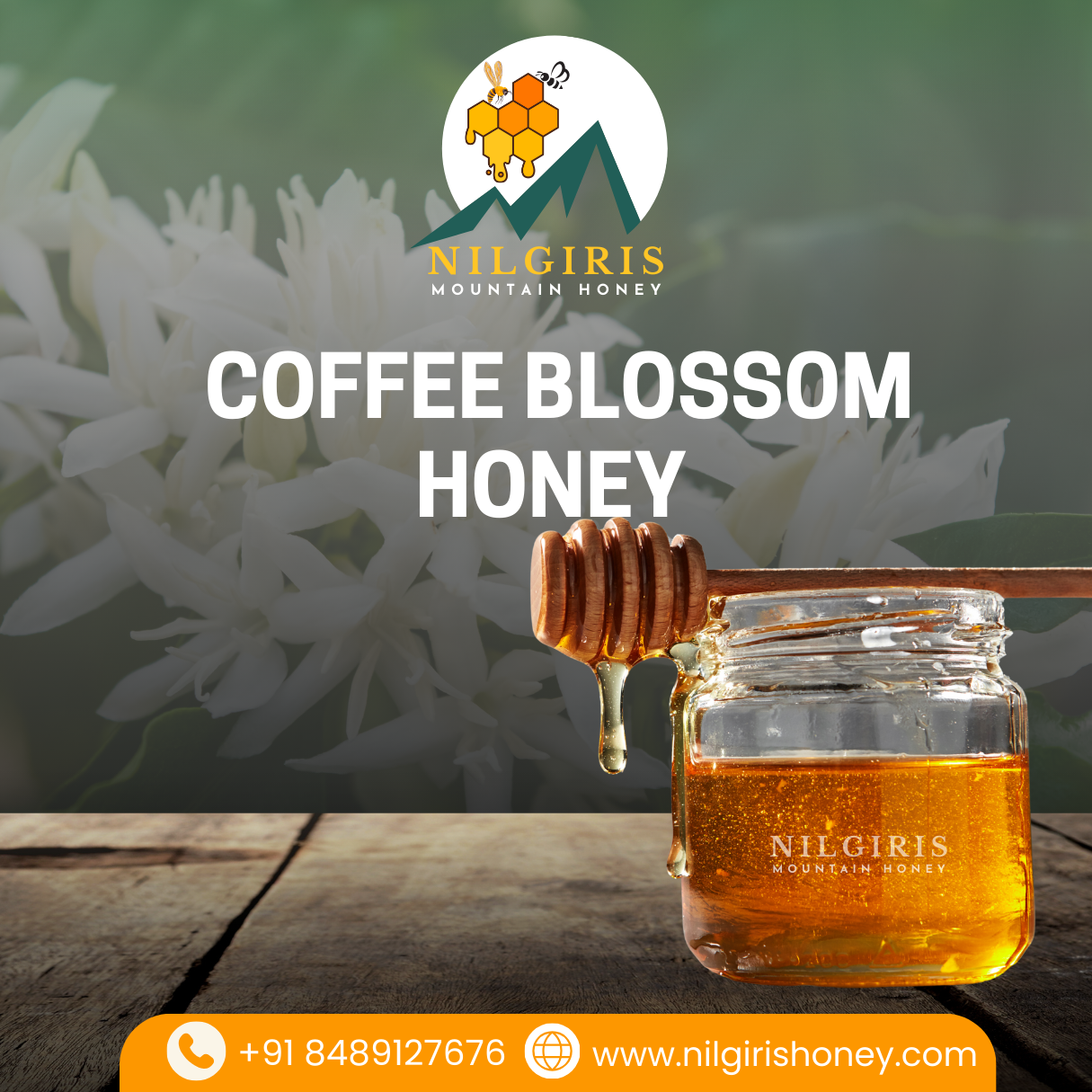 Coffee Blossom Honey