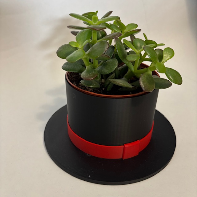 Haut de forme succulentes