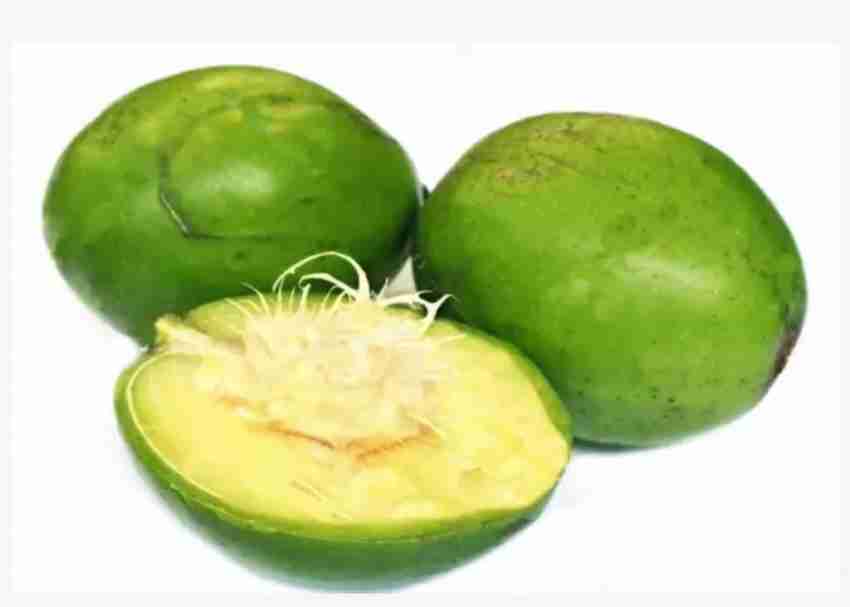 Fresh Drumsticks (Moringa Pods)