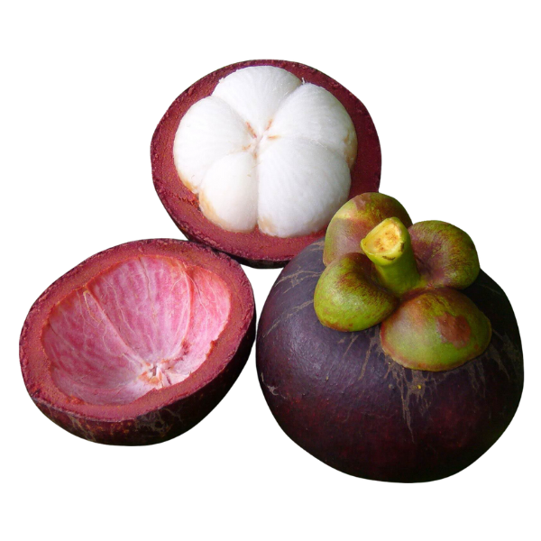 Mangosteen Fruit