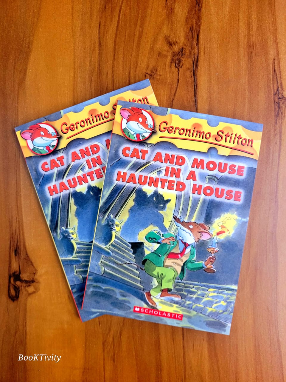 Geronimo Stilton Book: Cat and Mouse in a Haunted House