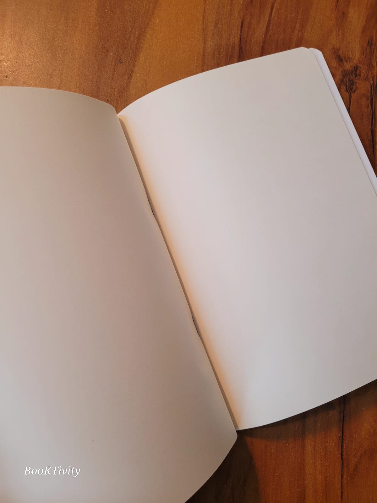 Snail-Themed Notebook