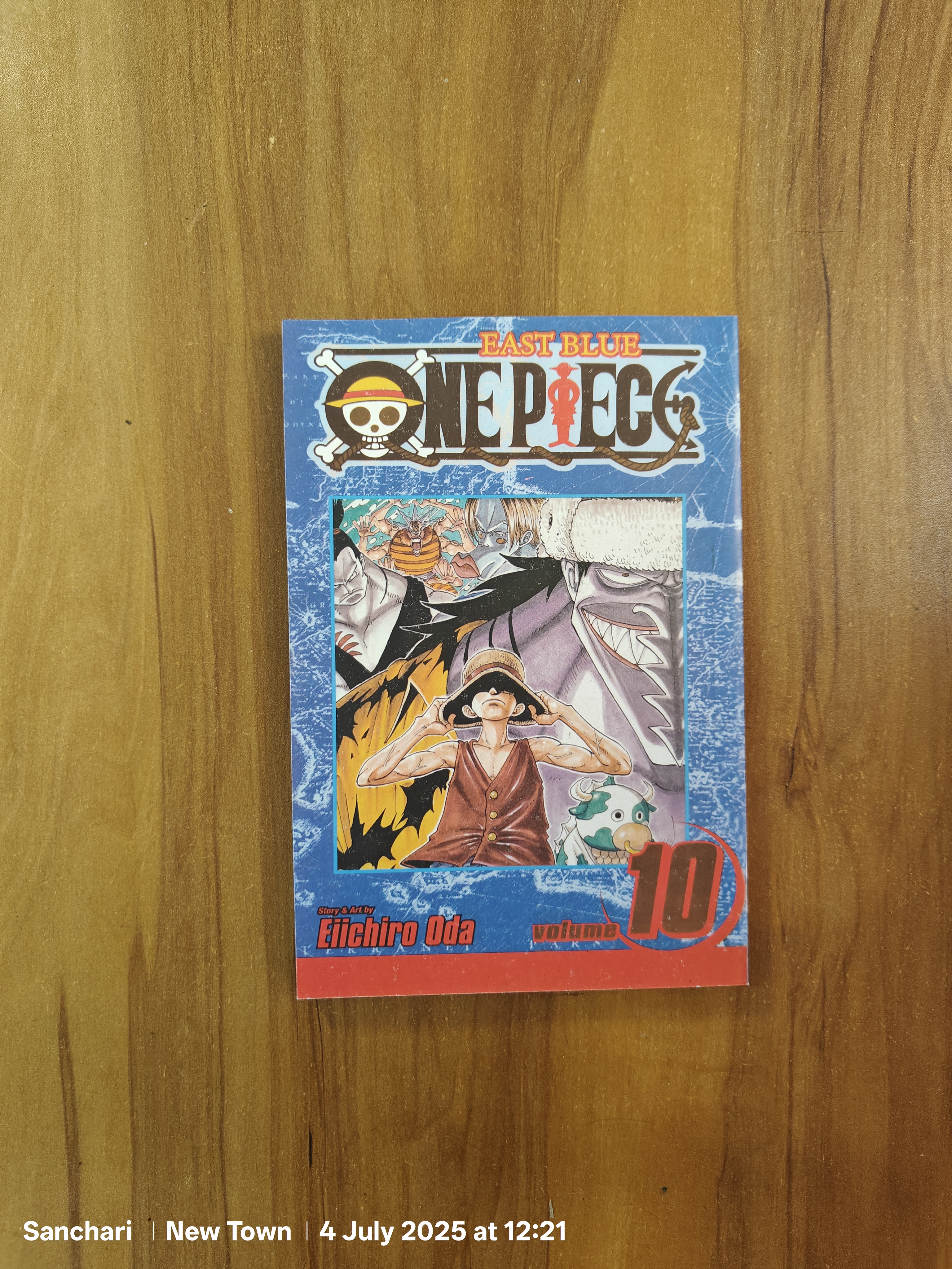 One Piece Manga Volume 10