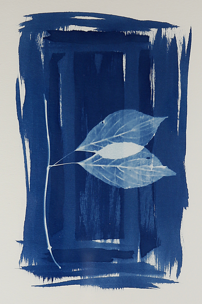 AMOUR FEUILLE