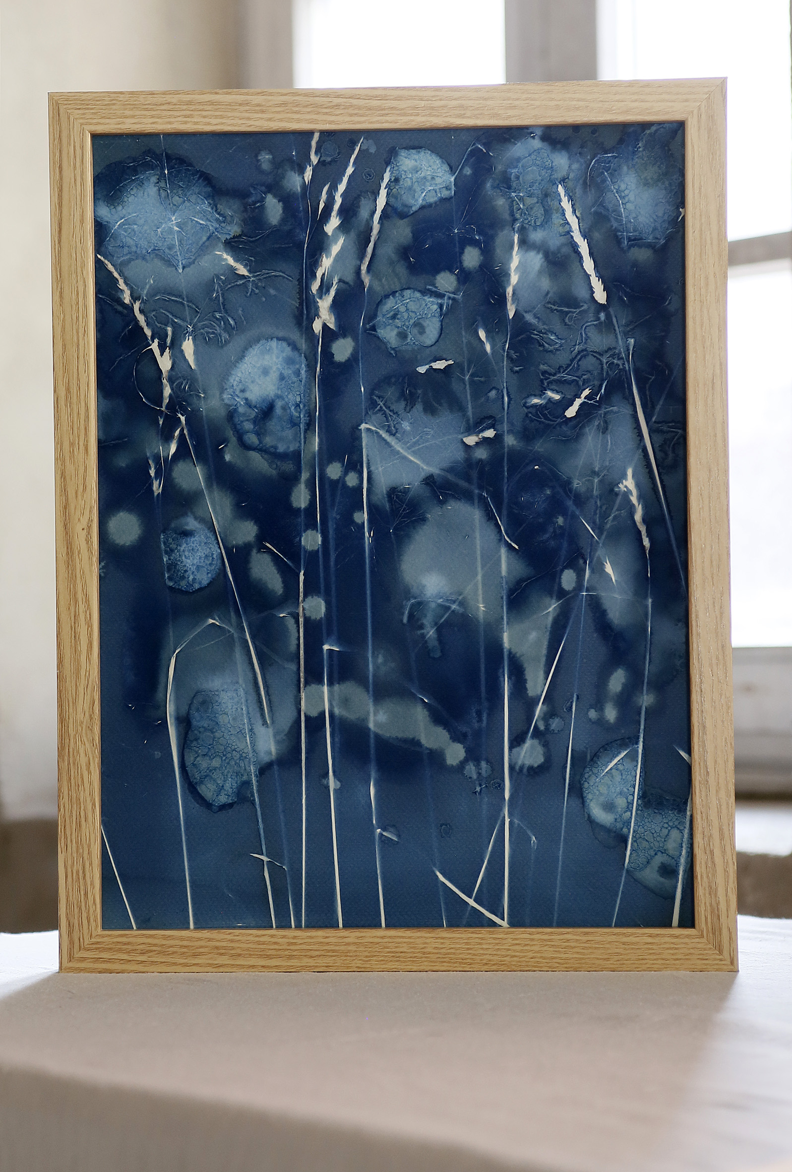 Bulles de graminées