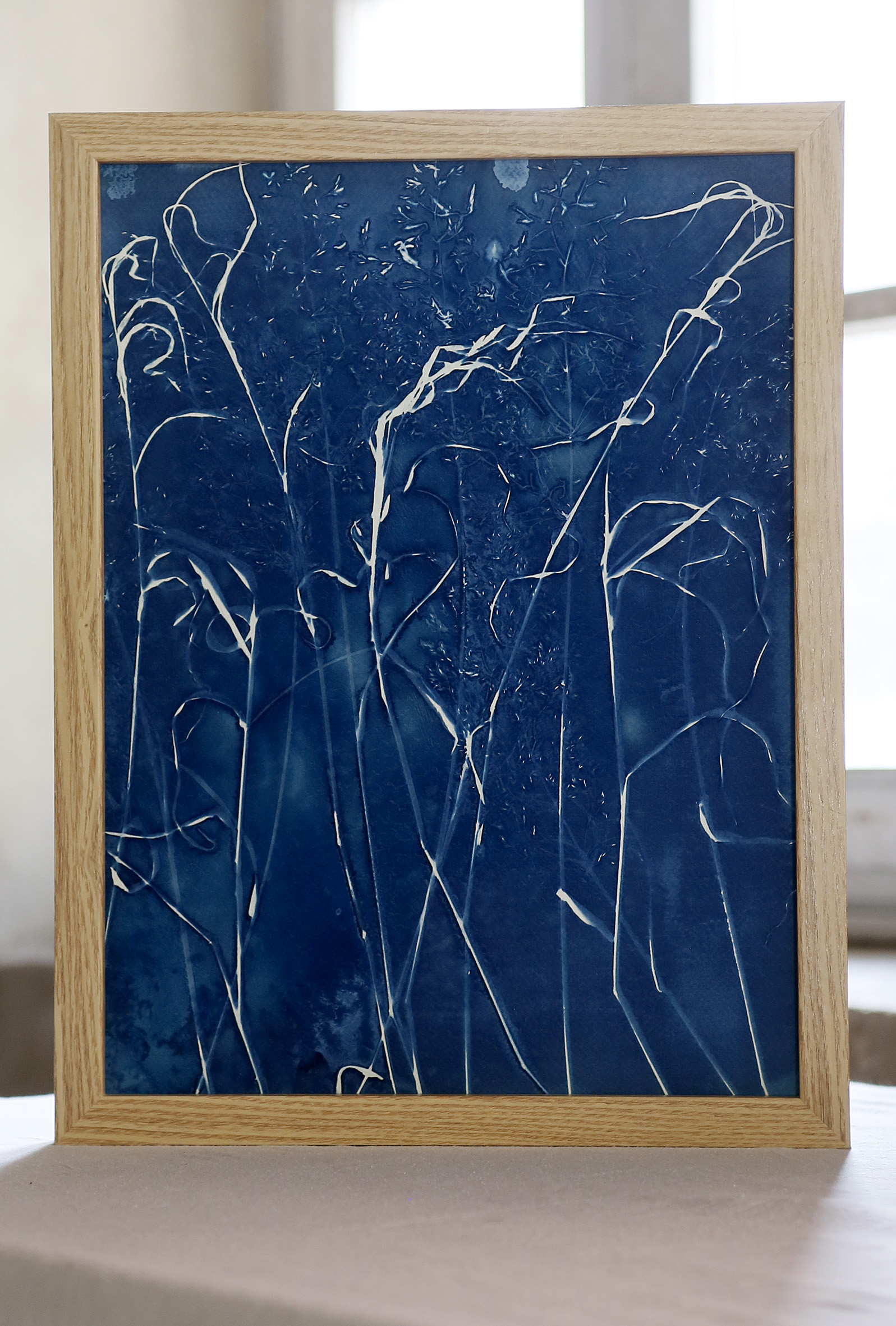 Valse des graminées