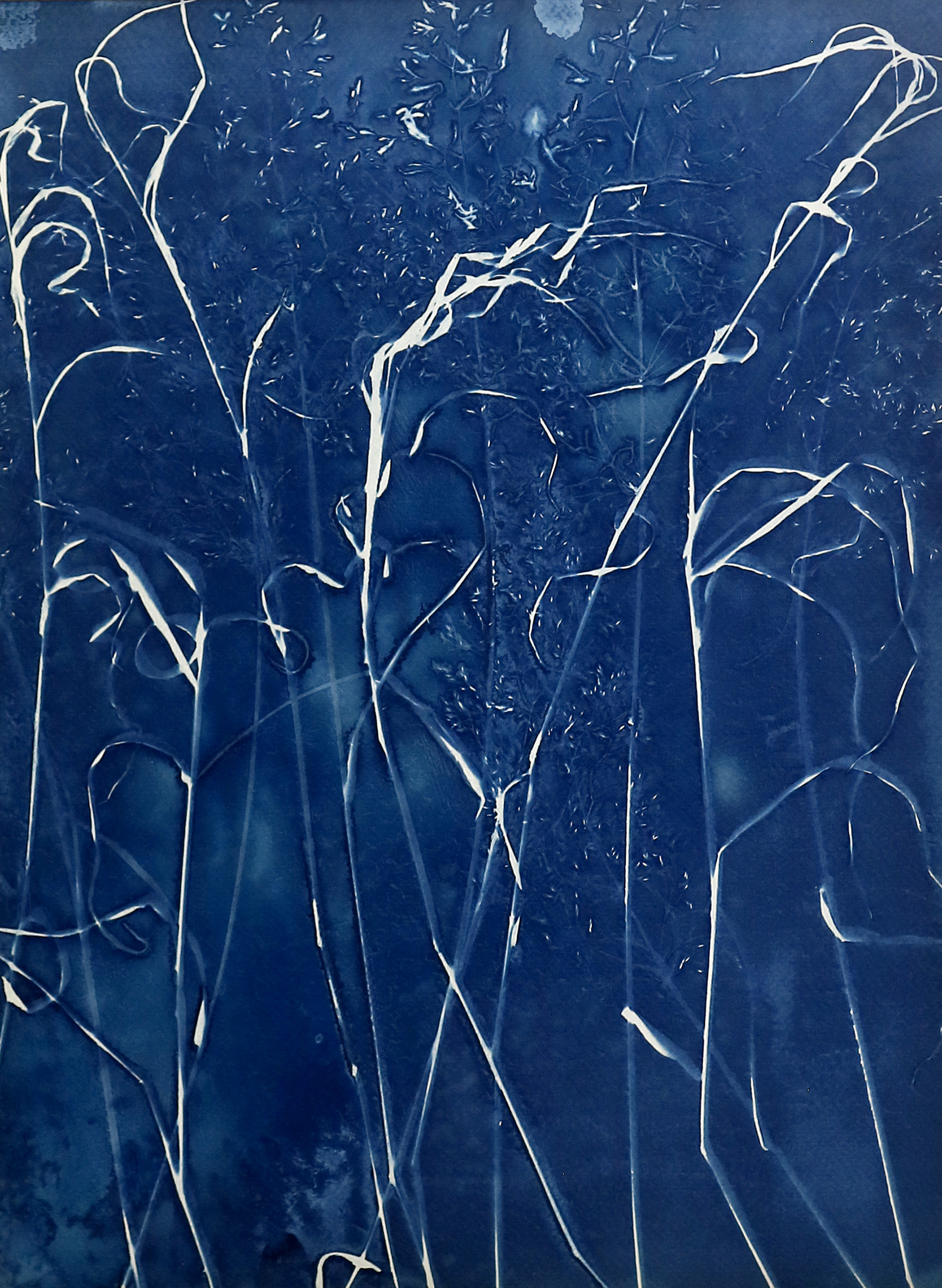 Valse des graminées