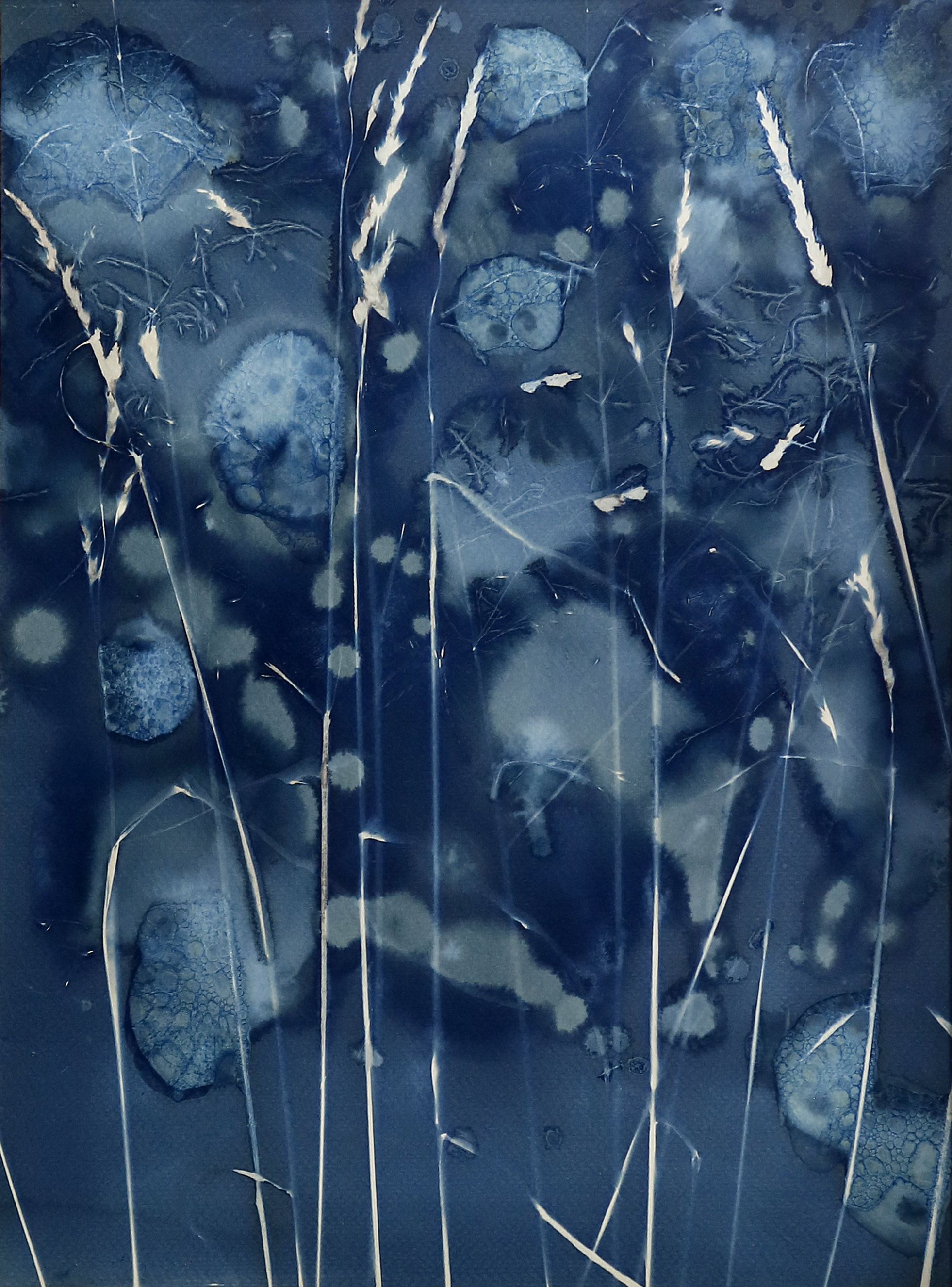 Bulles de graminées