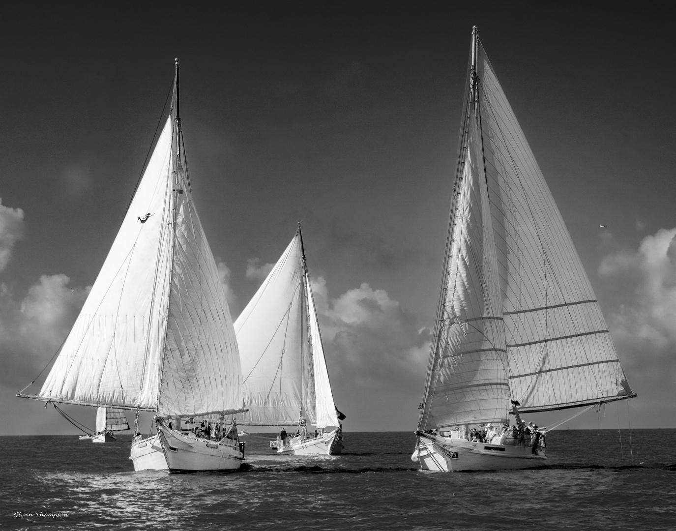 Black and White Deal Island Skipjack Race 