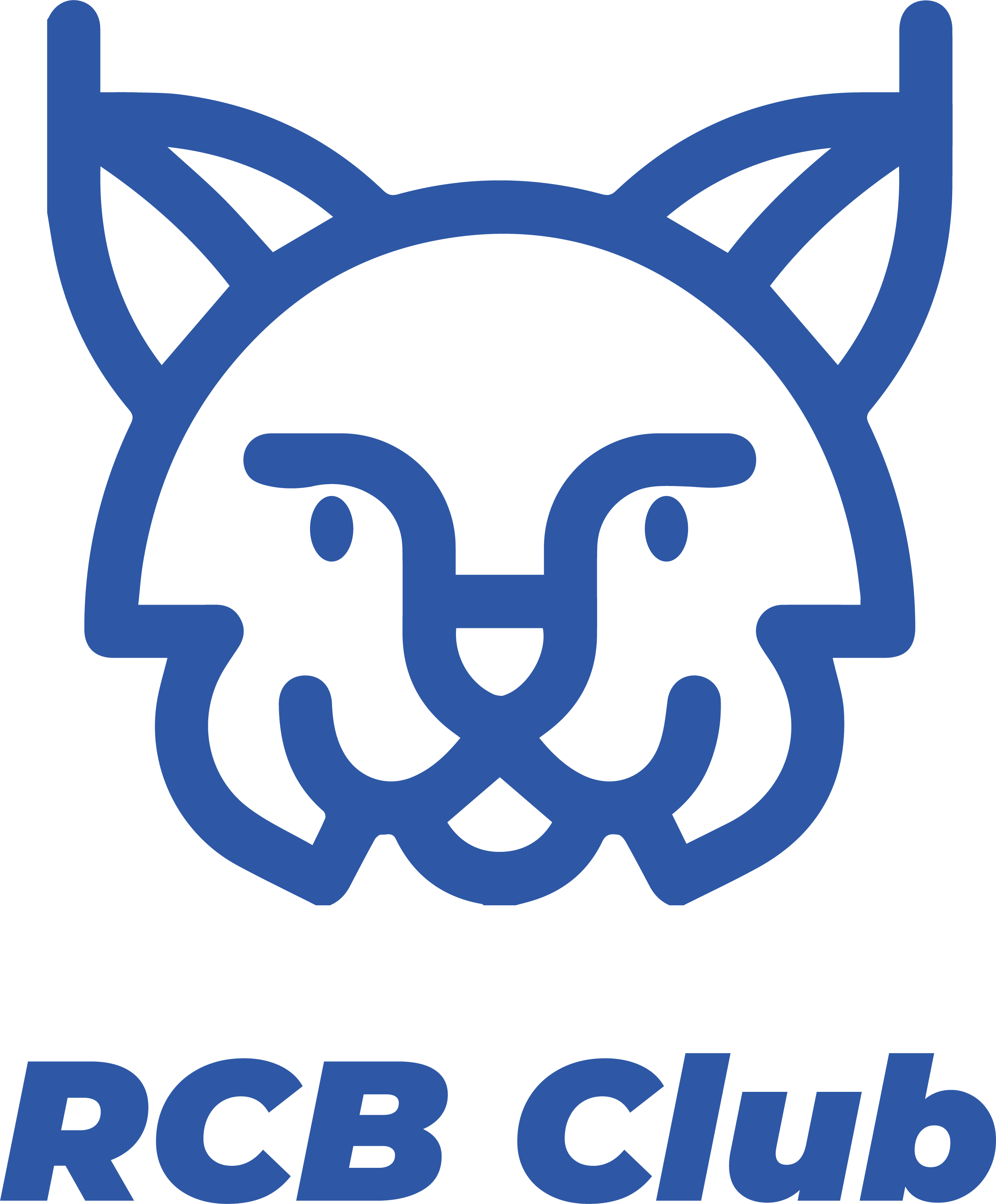 RCB Club Logo Sticker