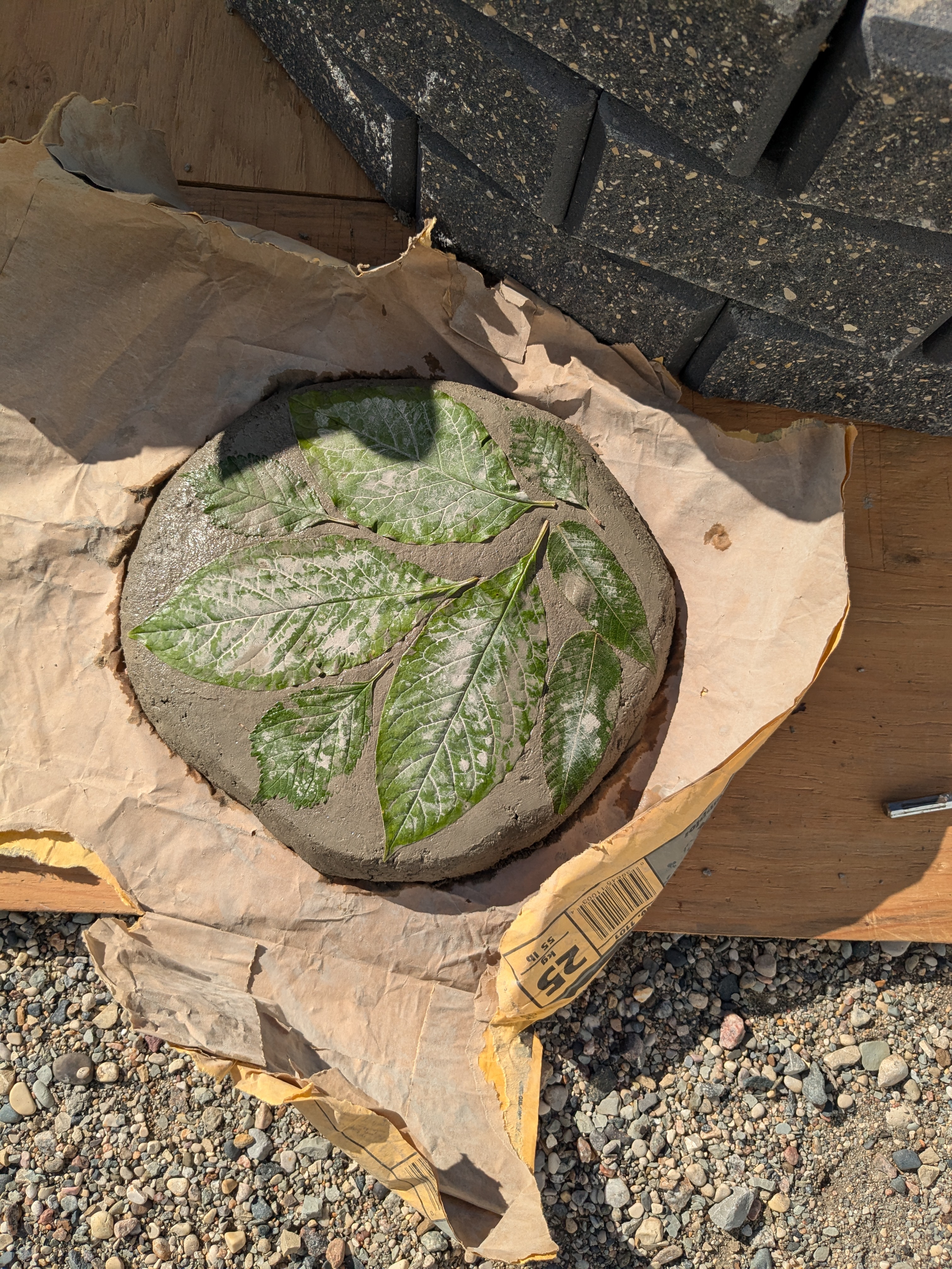 Nature-Inspired Stepping Stone