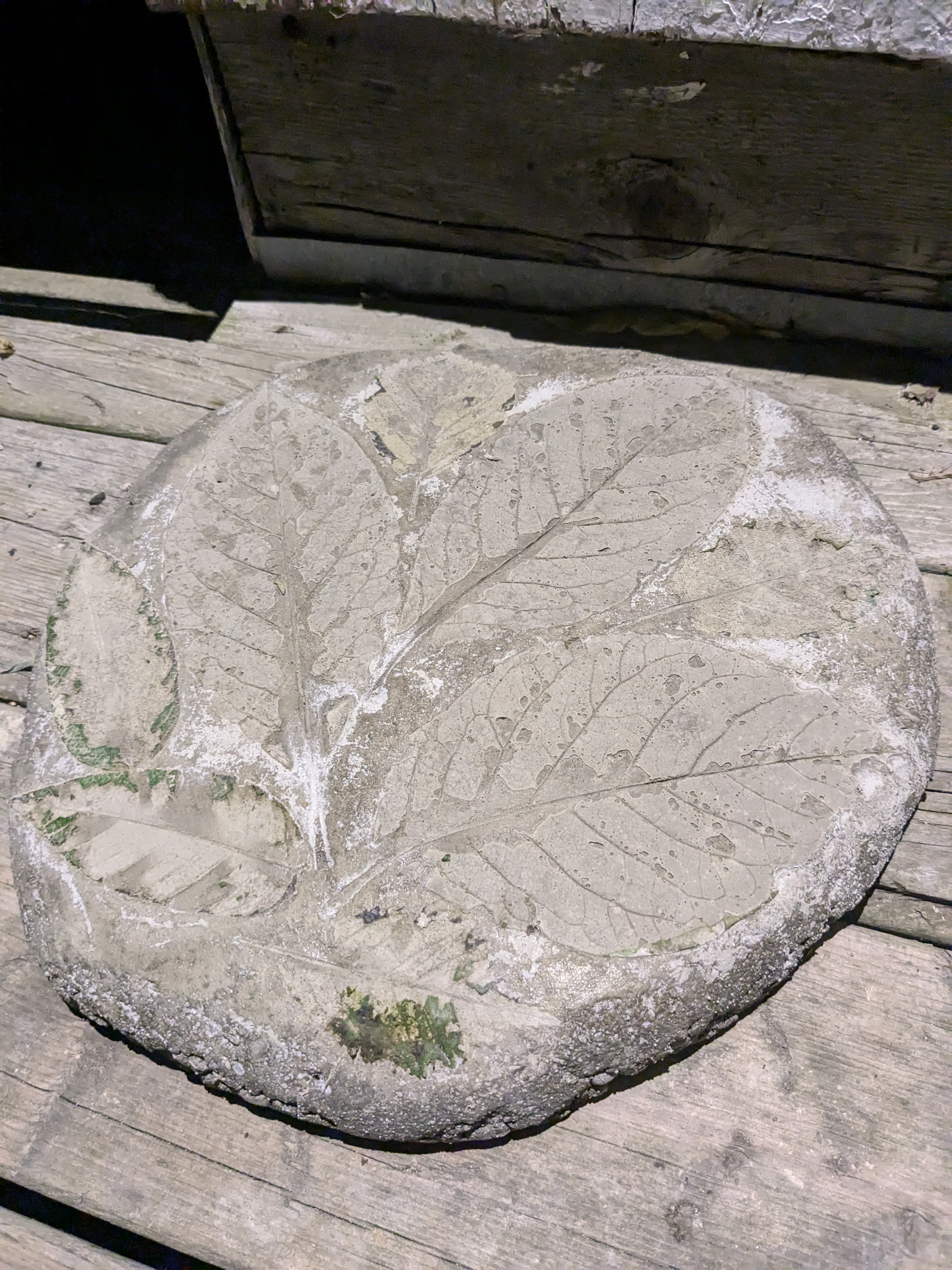 Nature-Inspired Stepping Stone