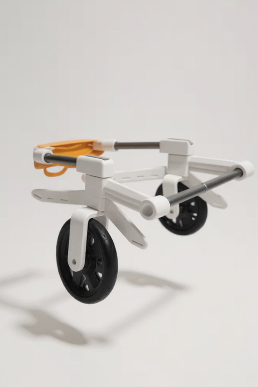 Silla de ruedas para perros