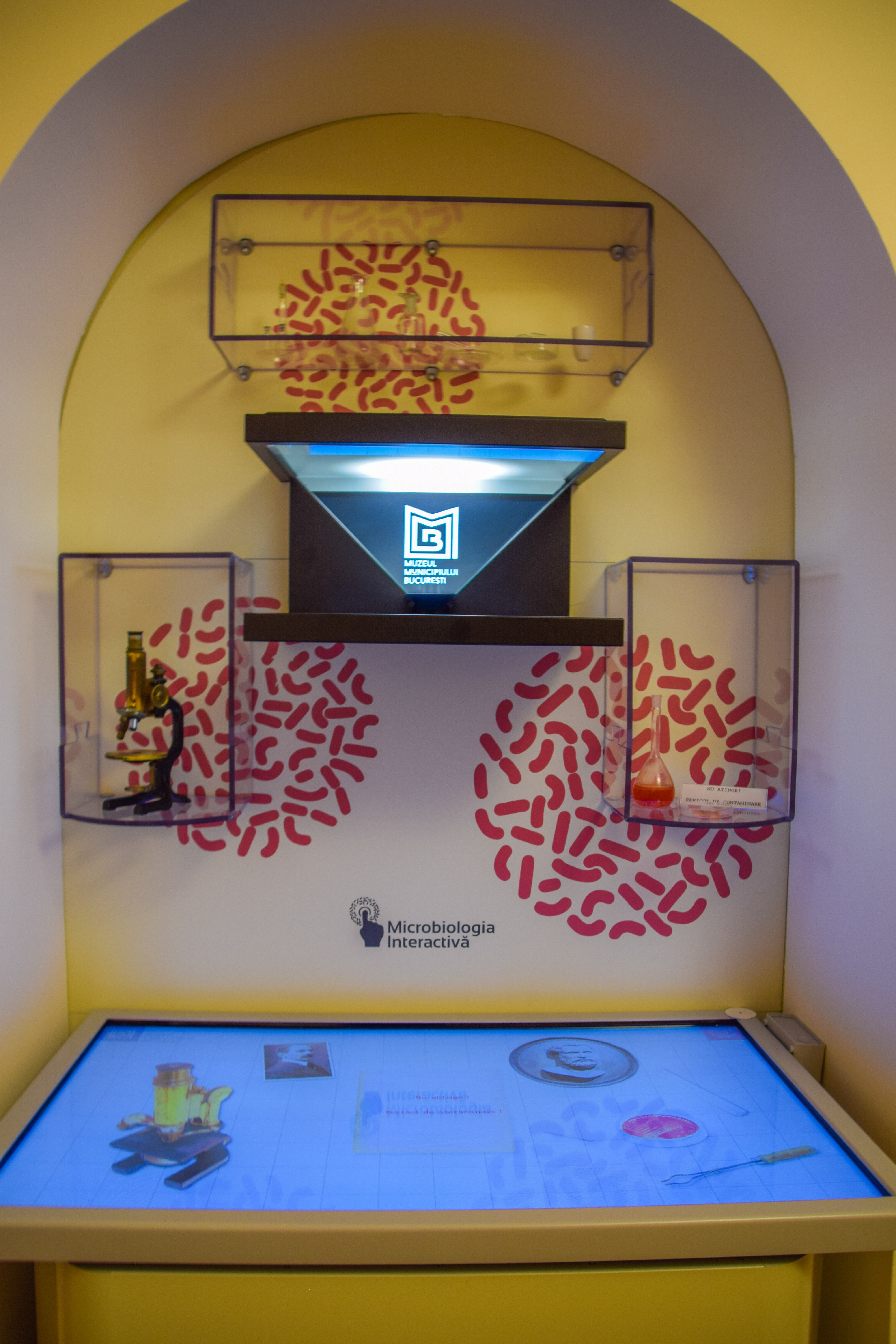 Incursiune în fascinanta lume a microbiologiei