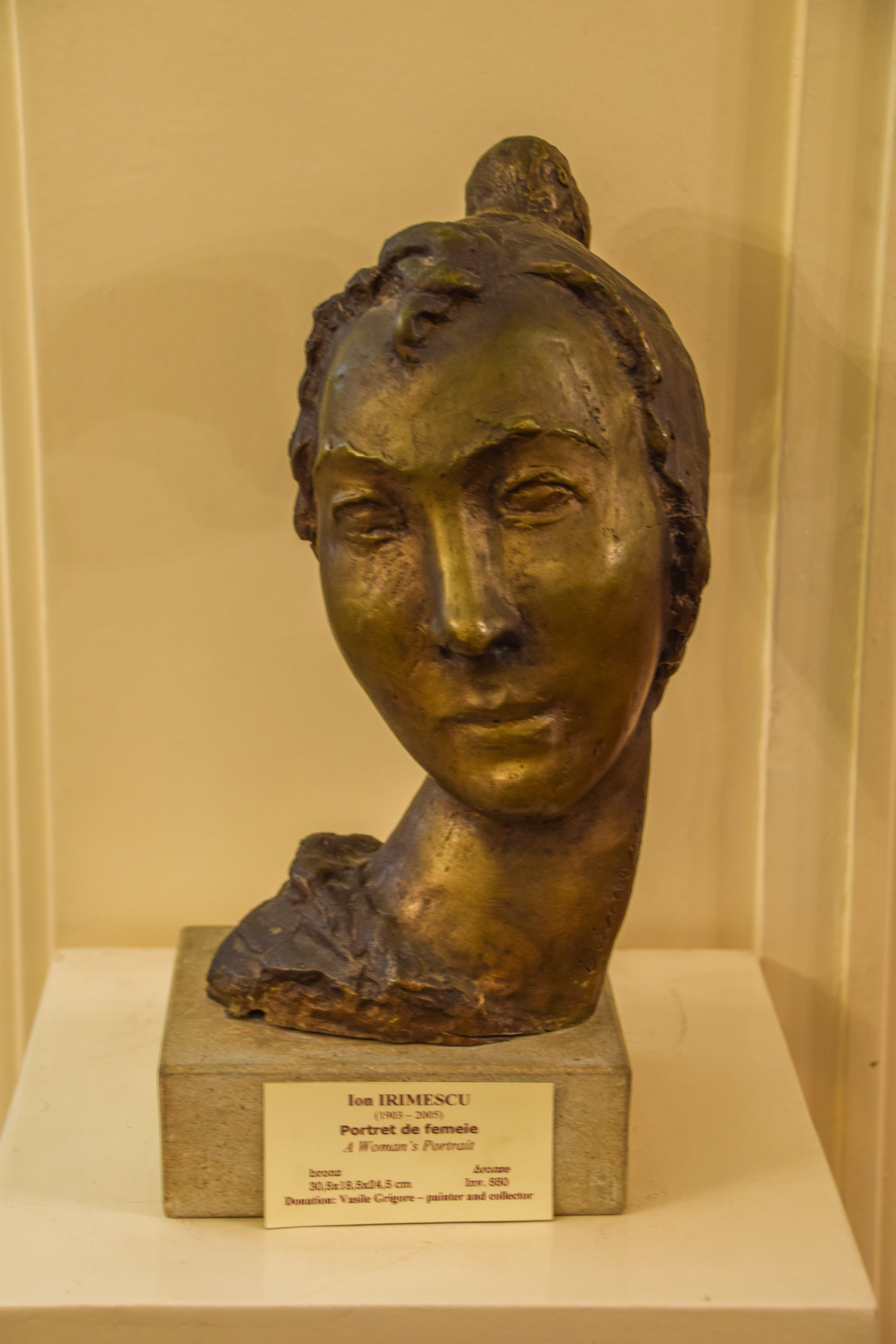 În lumea lui Vasile Grigore - pictor și colecționar