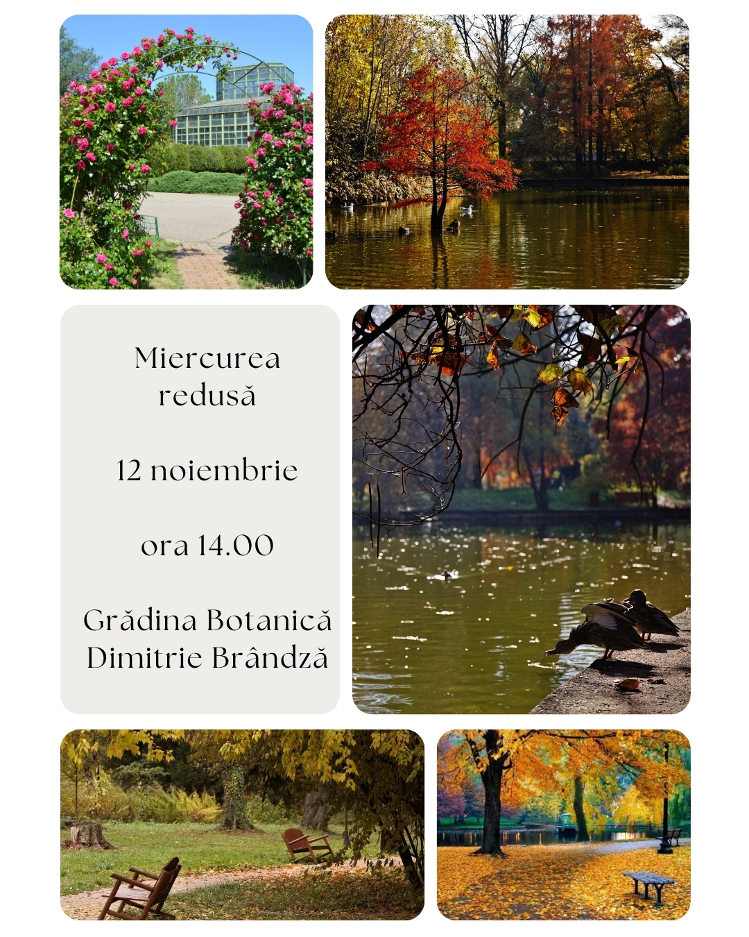 Tur ghidat în Grădina Botanică