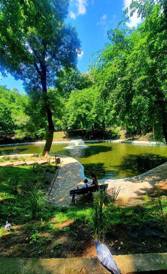 Tur ghidat în zona Kiseleff - 6 martie 