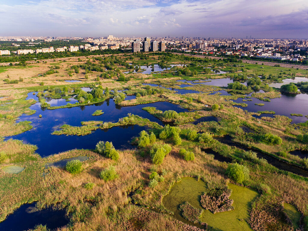 Tur ghidat Delta Văcărești
