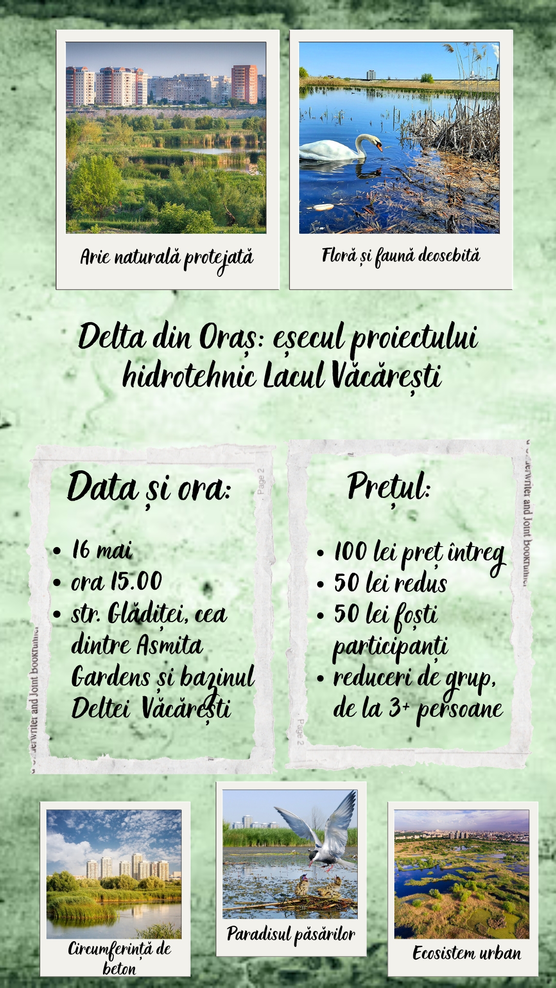 Tur ghidat Delta Văcărești