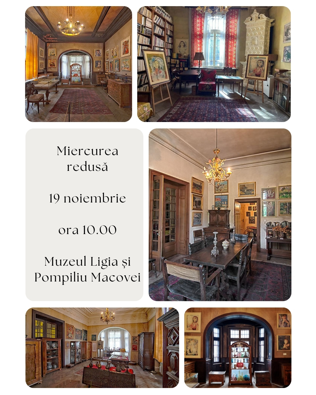 Tur ghidat în Muzeul Ligia și Pompiliu Macovei