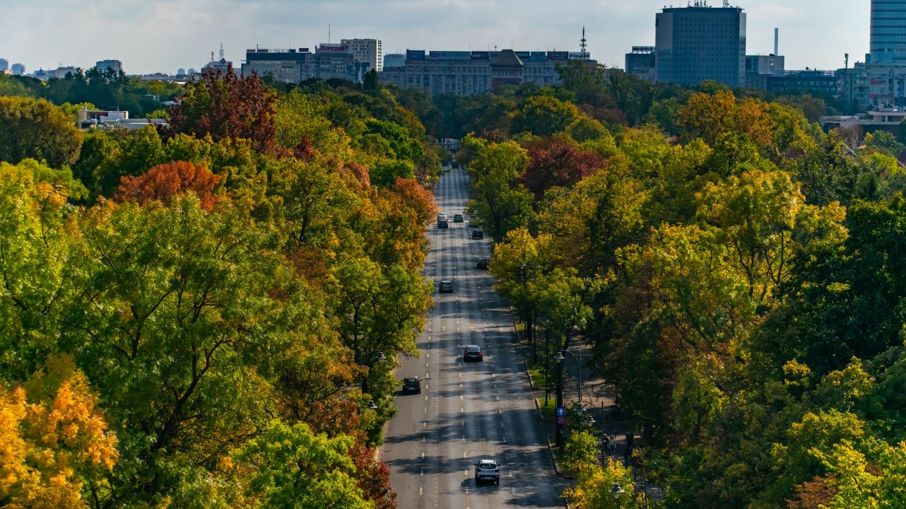 Tur ghidat în zona Kiseleff - 6 martie 