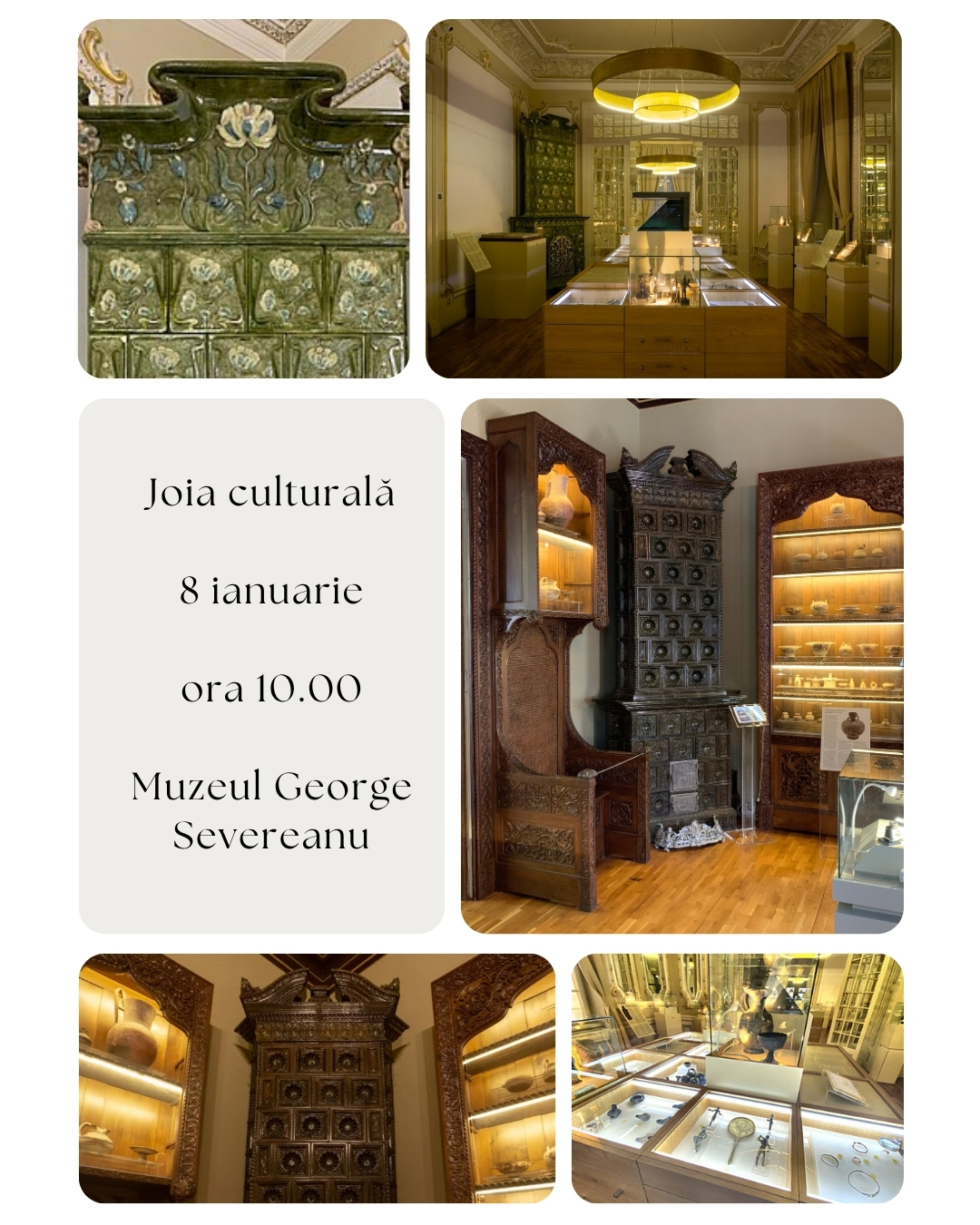 Vizită ghidată la Muzeul George Severeanu