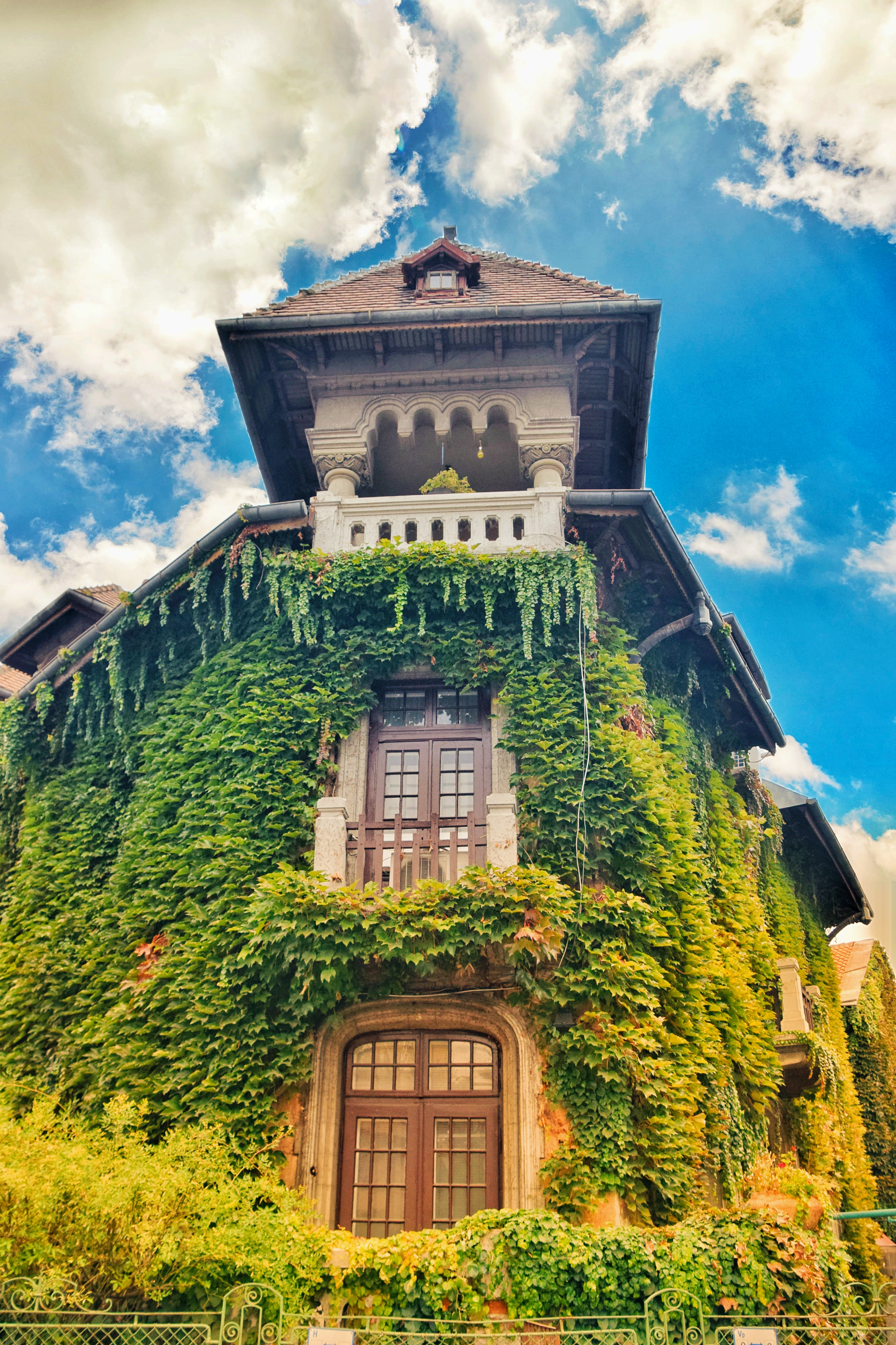 Cartierul Cotroceni - plimbare la pas prin boema de altă dată