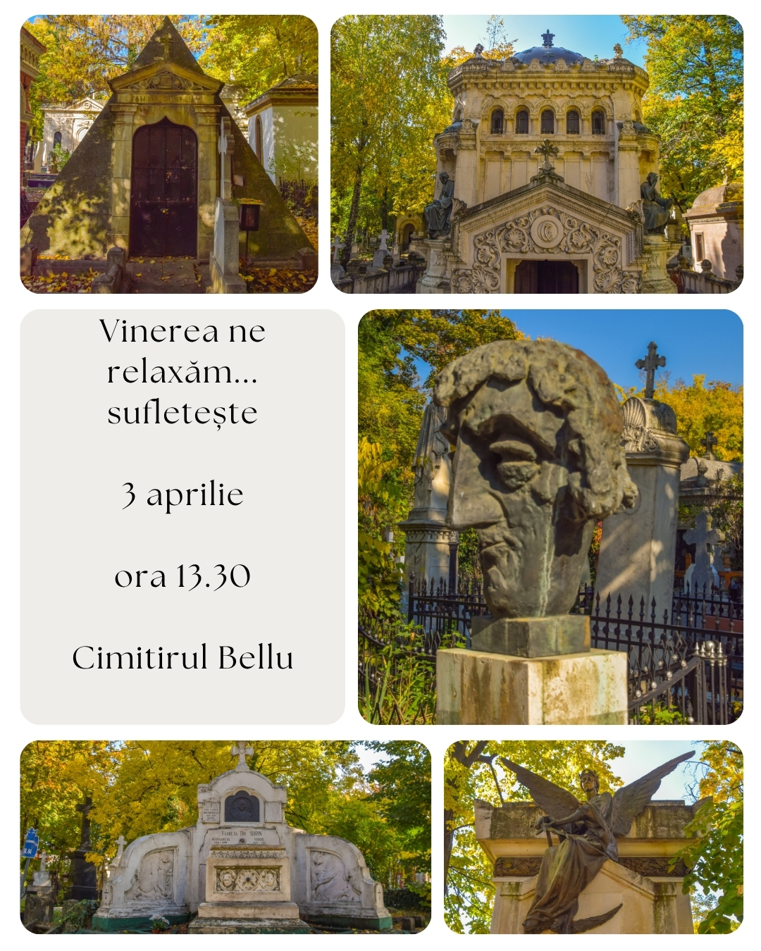 Cimitirul Bellu - tur introductiv redus