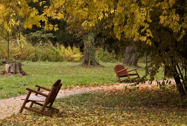 Tur ghidat în Grădina Botanică